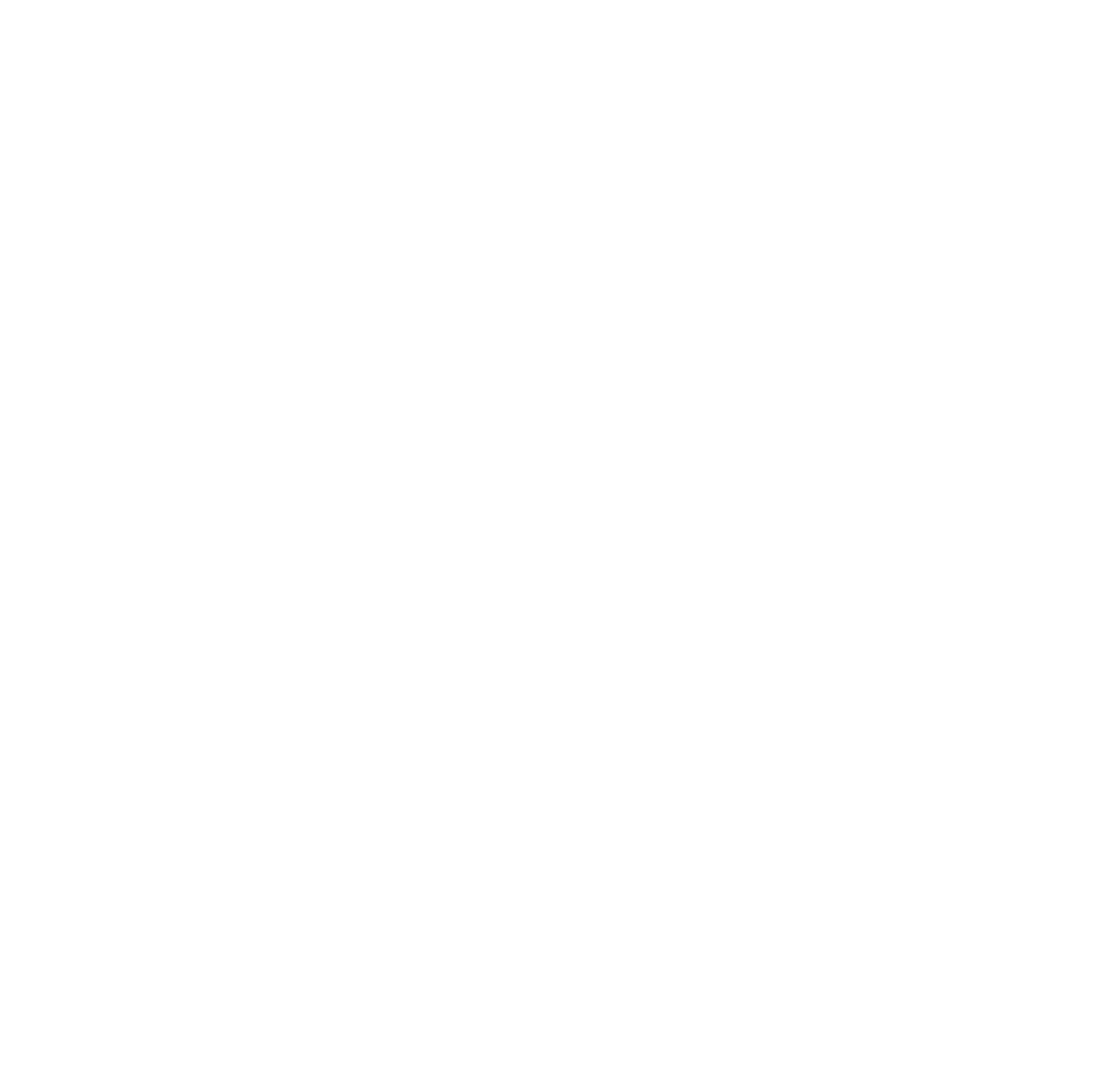github icon